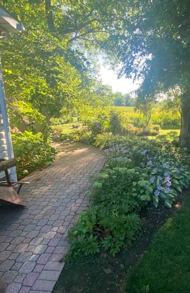 Mature planting
