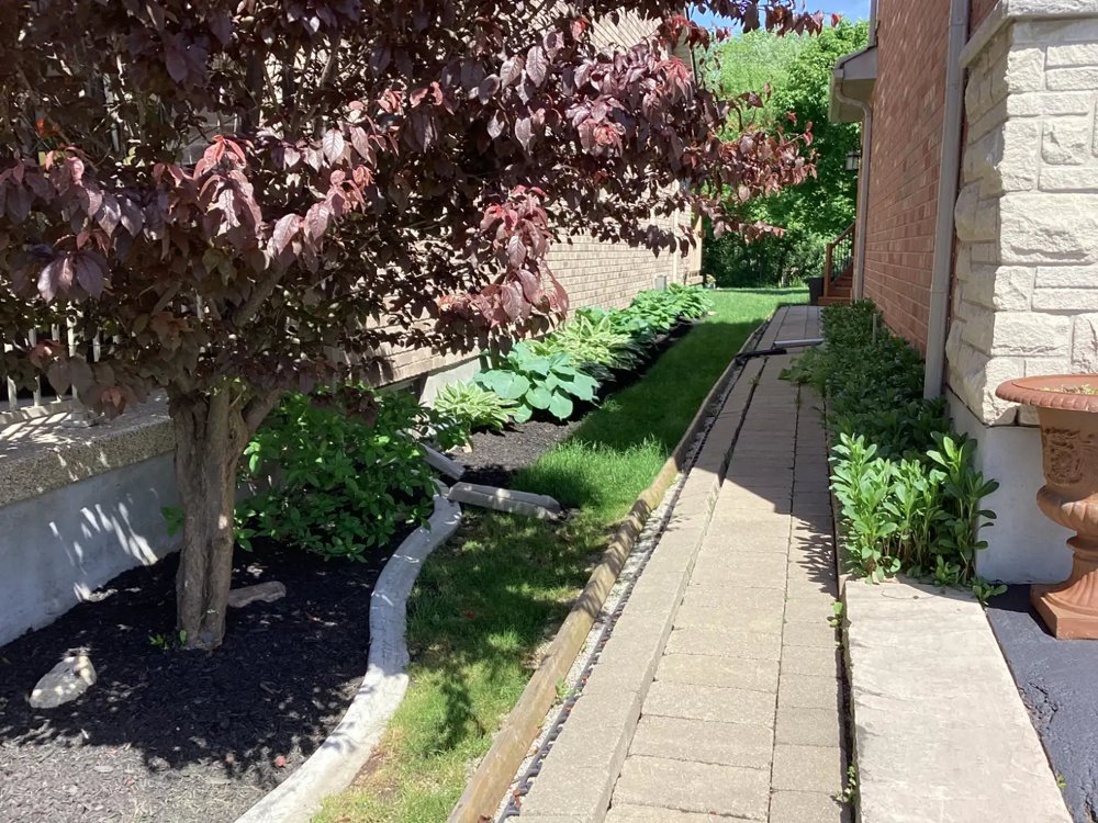 Mature planting