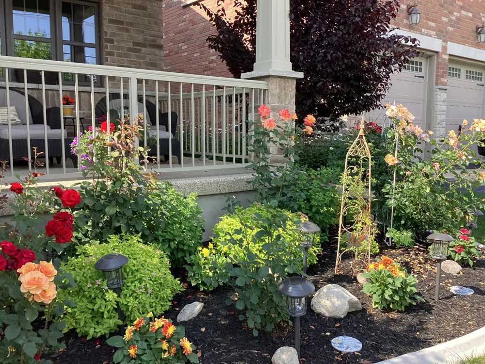 Mature plantings